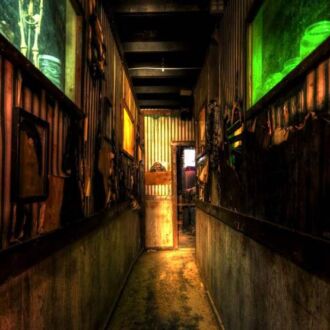 Thrillvania Haunted House - Terrell, Texas 75161