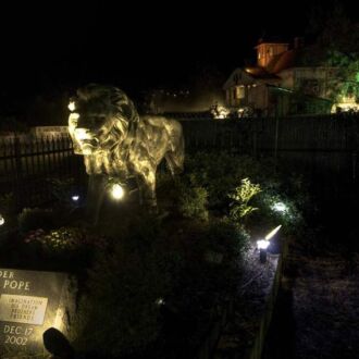 Thrillvania Haunted House - Terrell, Texas 75161